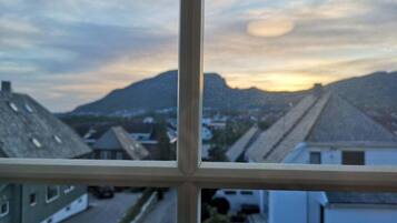 Basic Room, City View | Rollaway beds, free WiFi