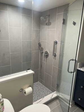 Combined shower/tub, hair dryer, towels