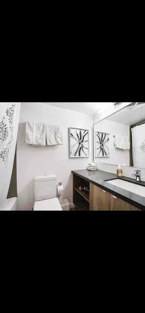 Ensemble douche/baignoire, sèche-cheveux, serviettes fournies, savon