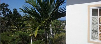 Hermosa casa en Ocho Rios.