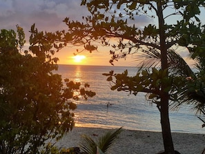 A beach with a sunset, palm trees, and a clear view of the ocean.