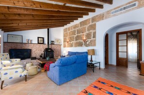 Télévision, cheminée, lecteur de DVD, chaîne hi-fi