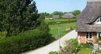 FW Südersiet - FW Nagel