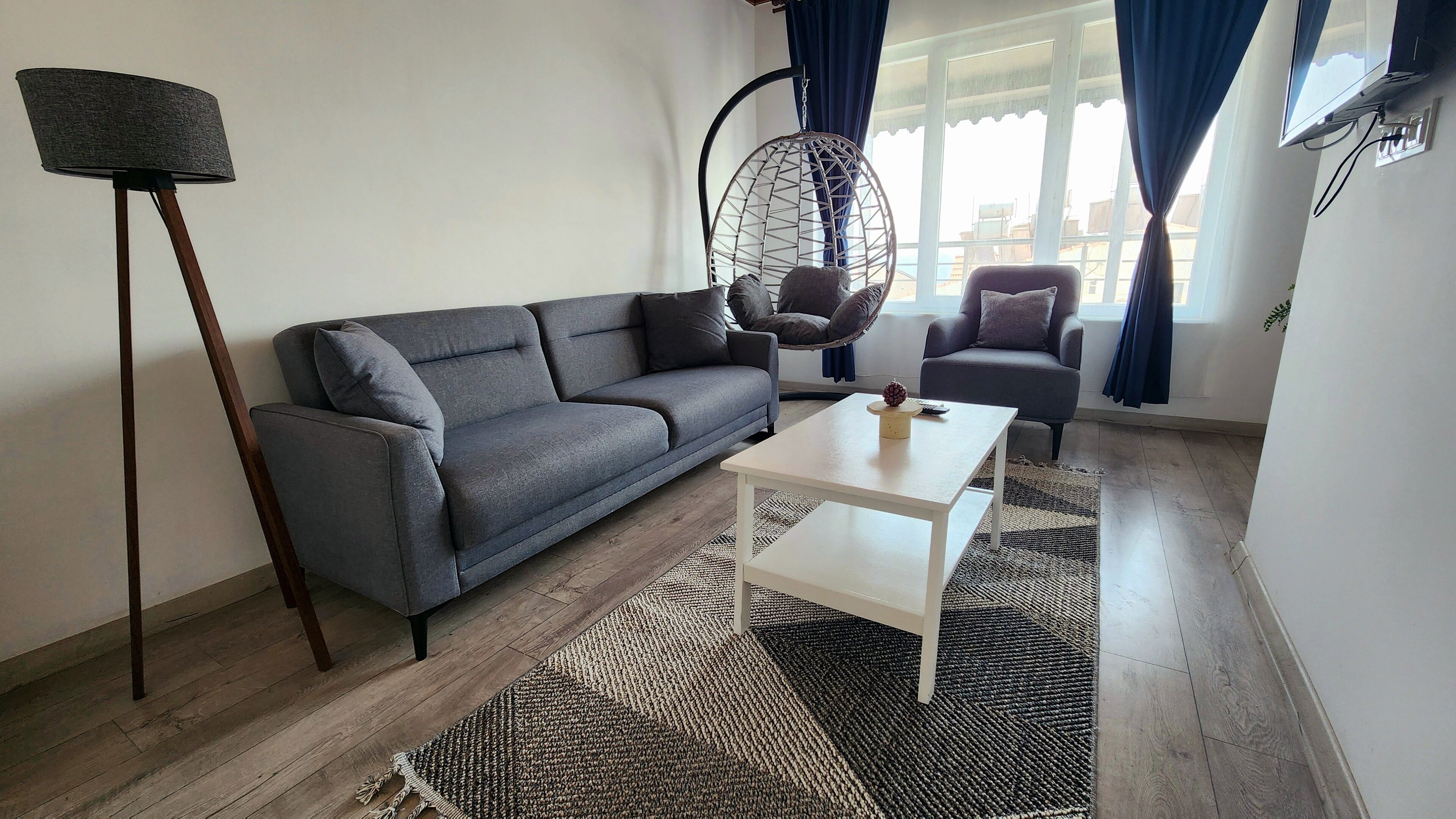 A living room with a grey sofa, a white coffee table, a hanging chair, and a small table with a pineapple decoration.