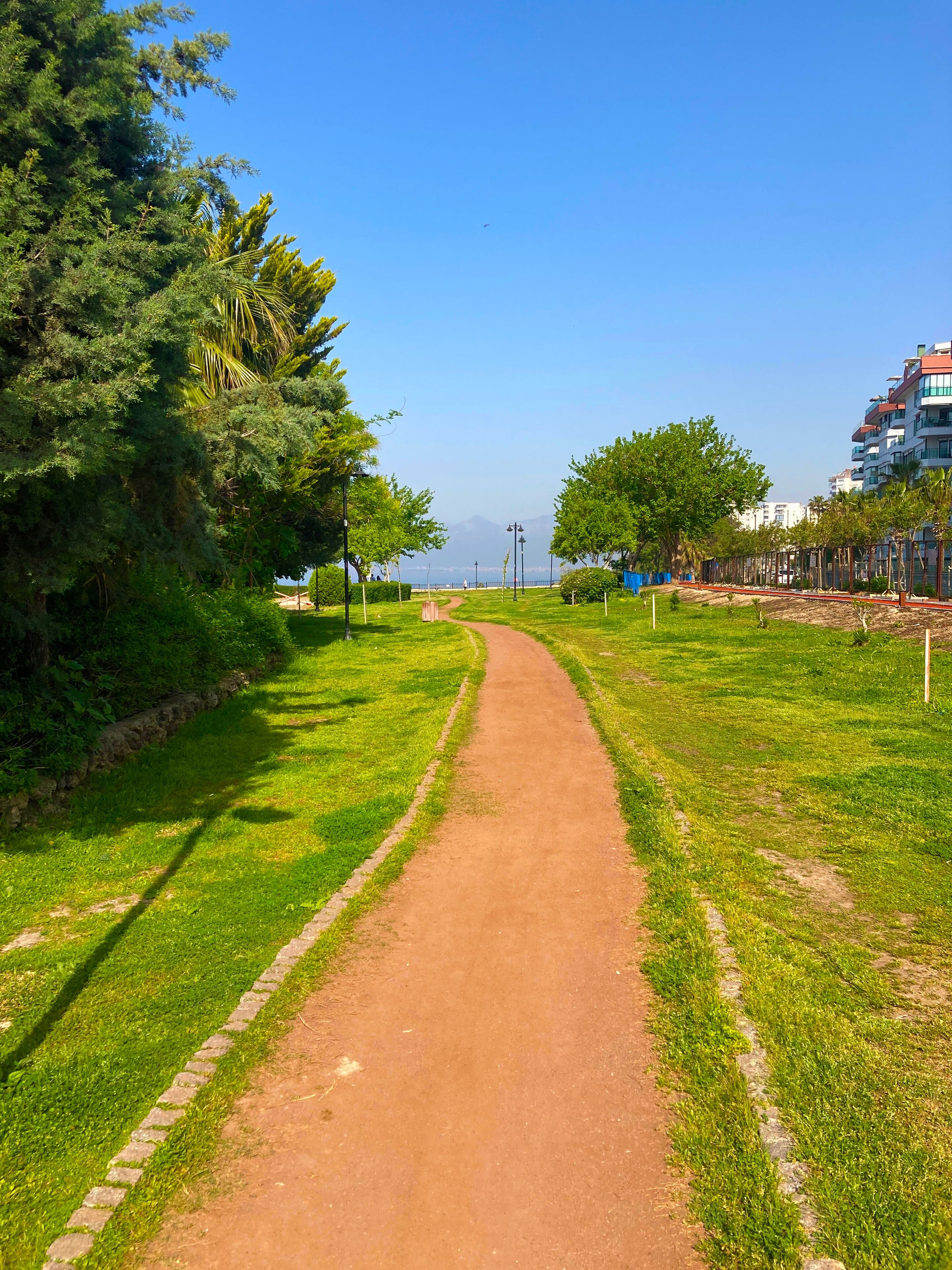 Ein gepflasterter Weg in einem Park mit Bäumen und einem entfernten Blick auf Gebäude.