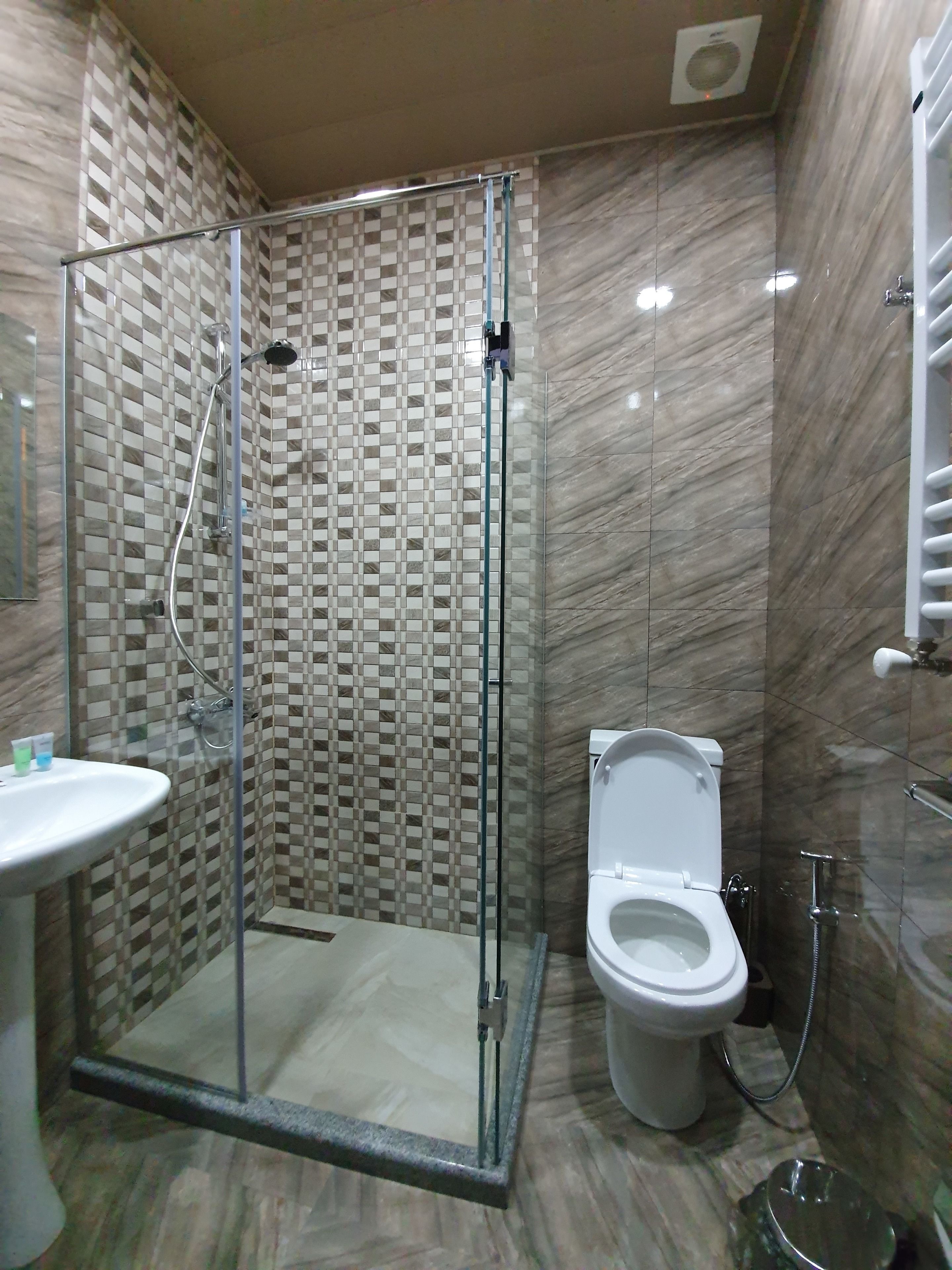 Een badkamer met een douche met glazen wand, een wastafel en een toilet.