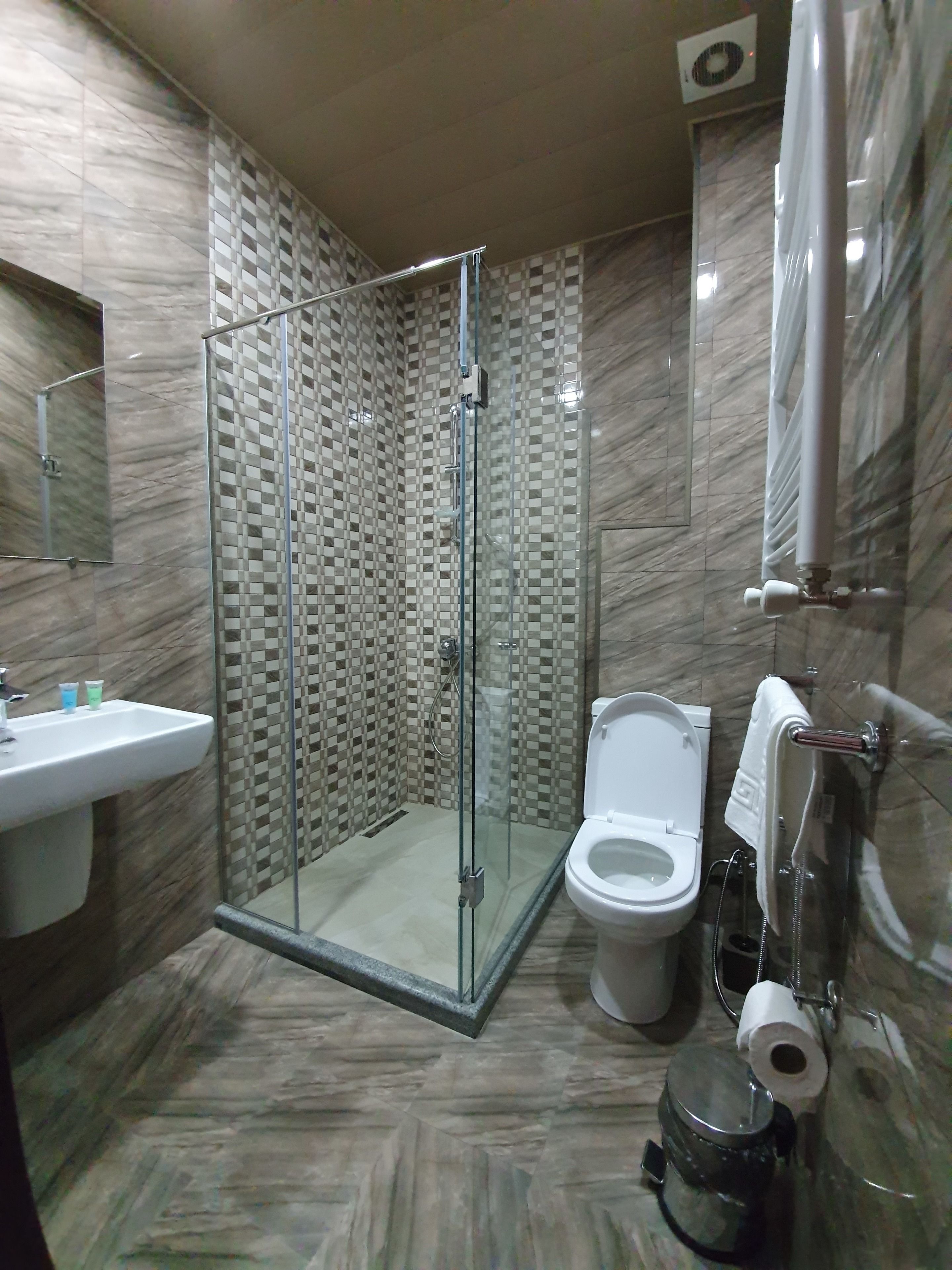 A bathroom with a glass-enclosed shower, a sink, a toilet, and a towel rack.