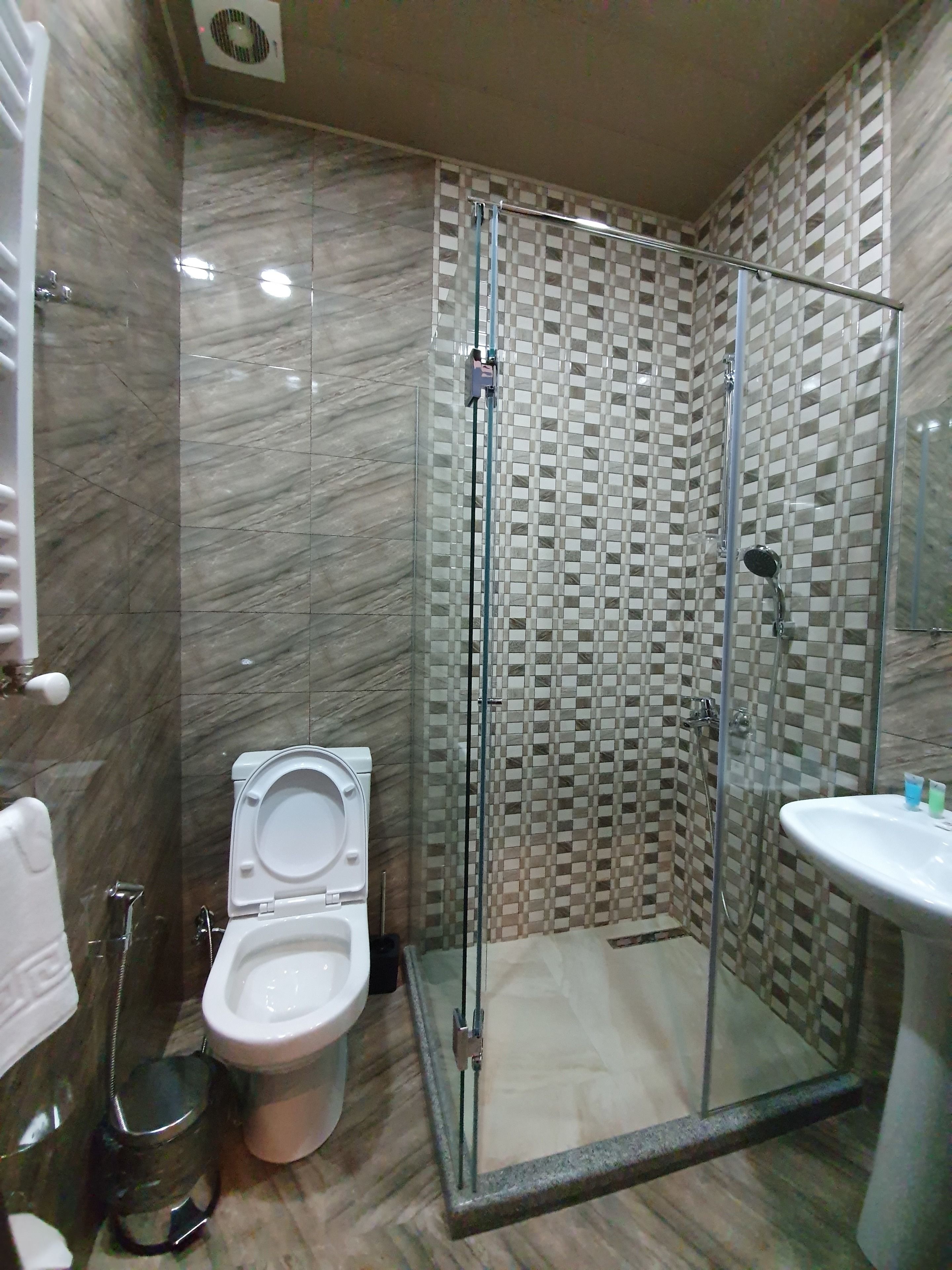 A bathroom with a toilet, a sink, and a glass-enclosed shower.