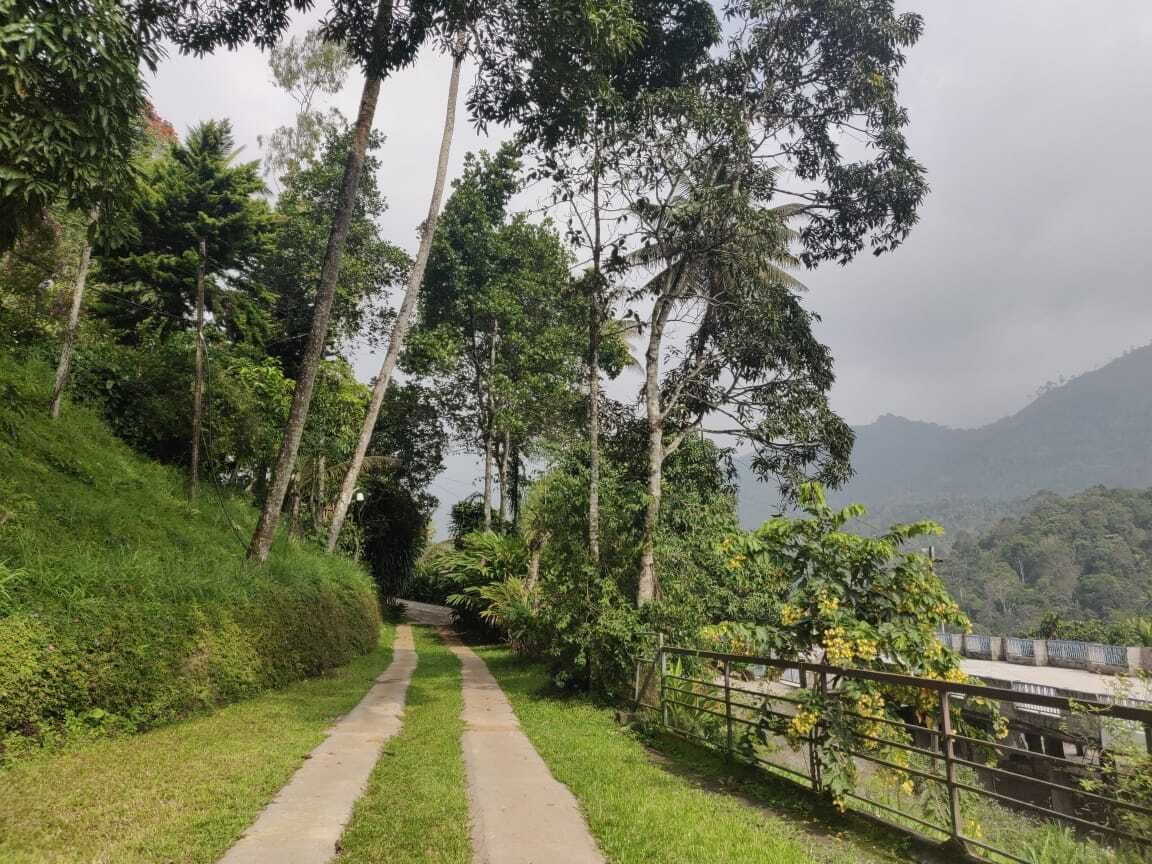 A pathway flanked by lush greenery and trees, leading towards a hilly landscape.