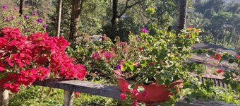 M3 Homes Kunchithanny Munnar