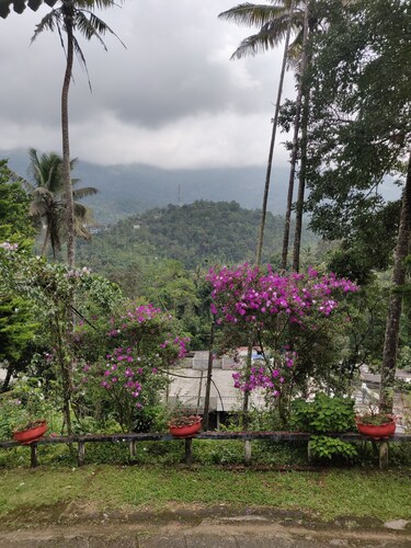 M3 Homes Kunchithanny Munnar