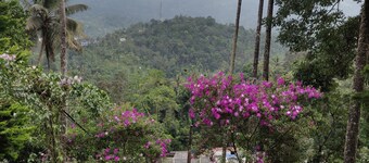 M3 Homes Kunchithanny Munnar
Kunchithanny where Munnar comes to exhale.