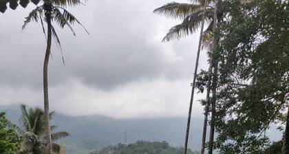 M3 Homes Kunchithanny Munnar