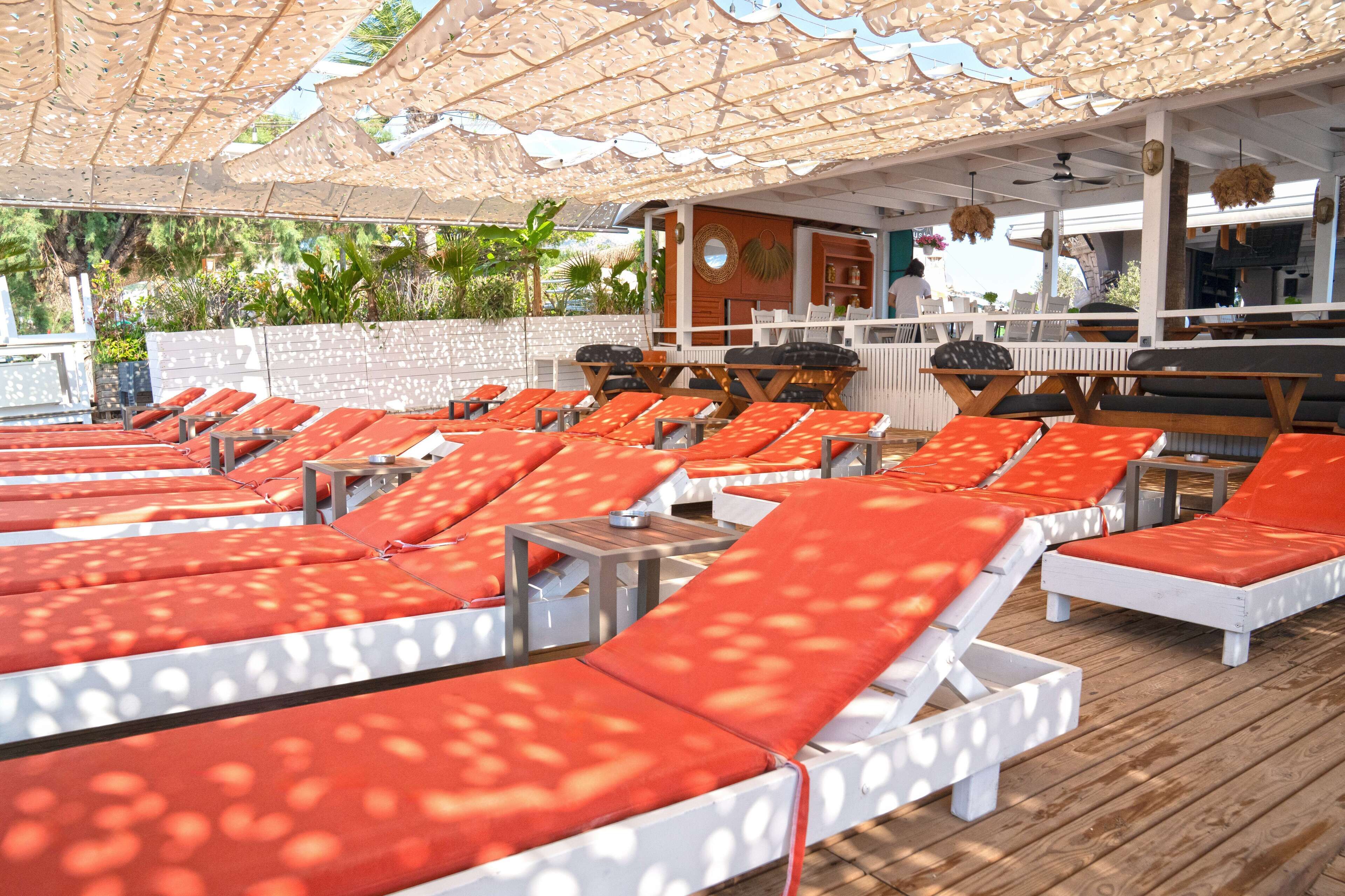 Un solarium doté de plusieurs rangées de chaises longues, d’un espace bar et offrant une vue sur la végétation environnante.