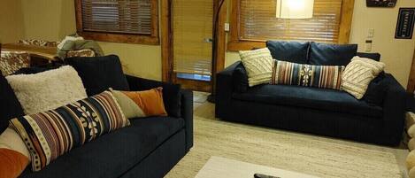 TV, fireplace, video games, DVD player