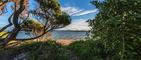 Strand