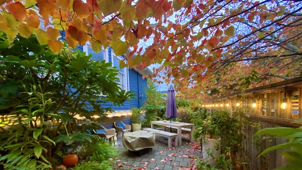 A patio area with a table and chairs, surrounded by plants and a wooden fence.