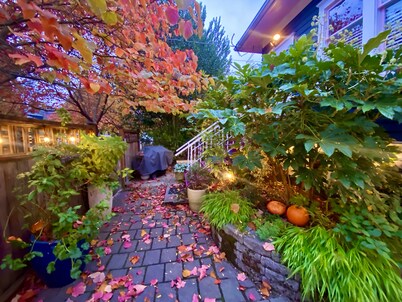 Nuevo listado ... RETIRO DE JARDÍN DE CHIC BOUTIQUE ubicado en el Centro del Universo