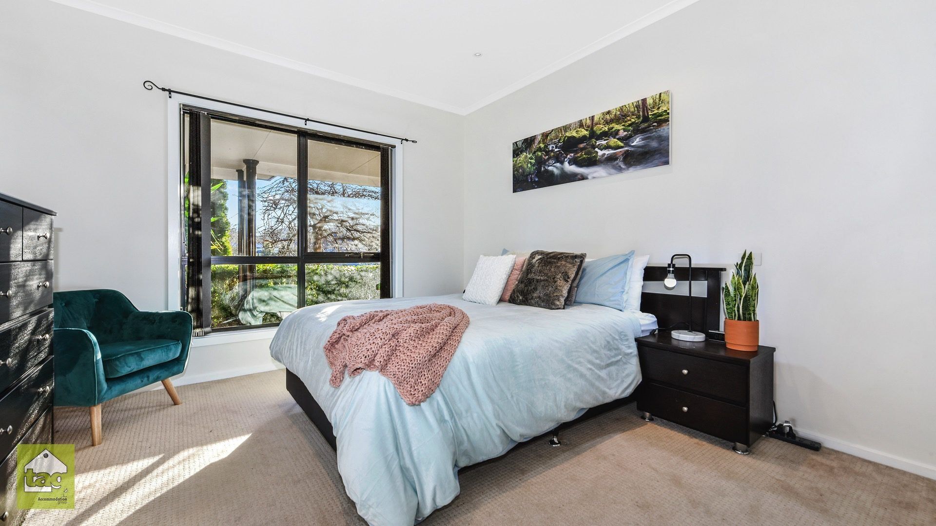 Sheffield is the town of murals. — image 11