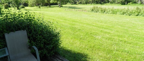 Barbecue/picknickplaats