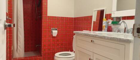 A bathroom with red patterned tiles, a white toilet, a sink with a mirror, and a shower area.