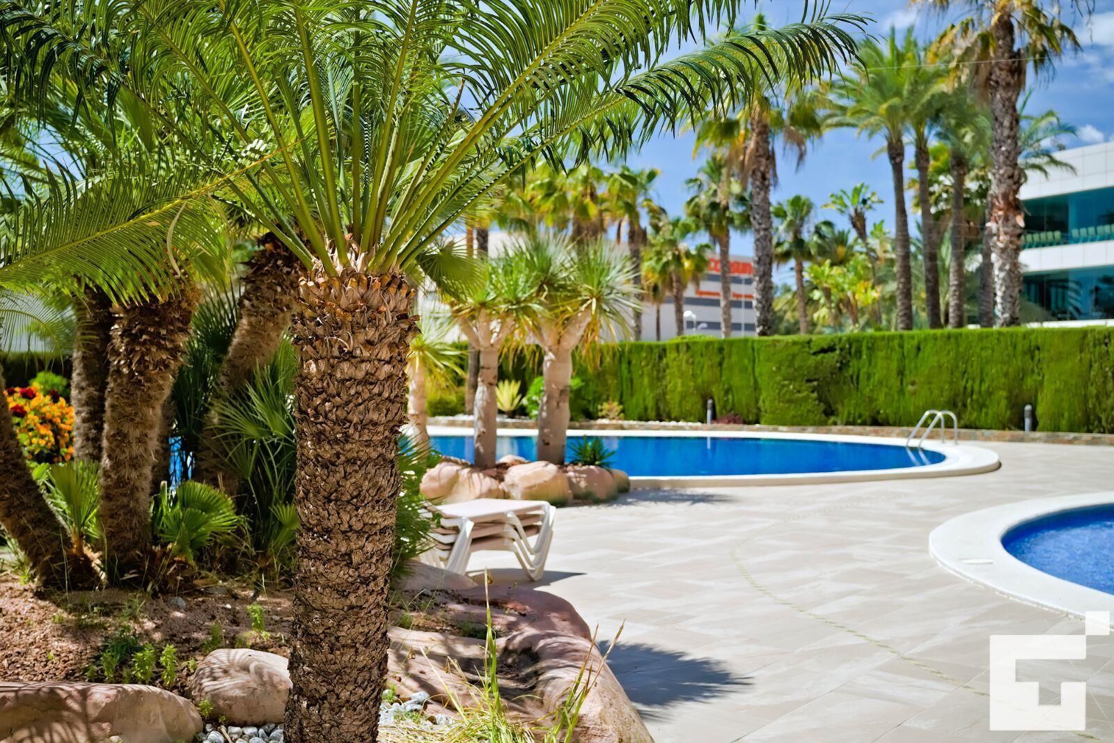 A pool area with palm trees, lounge chairs, and a modern building in the background.