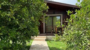 Ein Weg führt zu einem Holzhaus mit Glastür und einer kleinen Veranda.