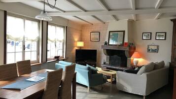 Télévision, cheminée, lecteur de DVD, livres