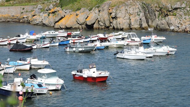 Un port de plaisance où sont amarrés différents types de bateaux.