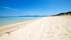 Sun-loungers, beach towels