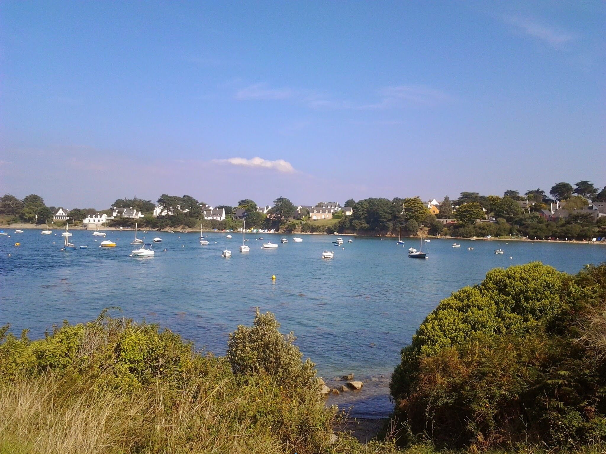 A coastal view with boats on the water and houses along the shore.