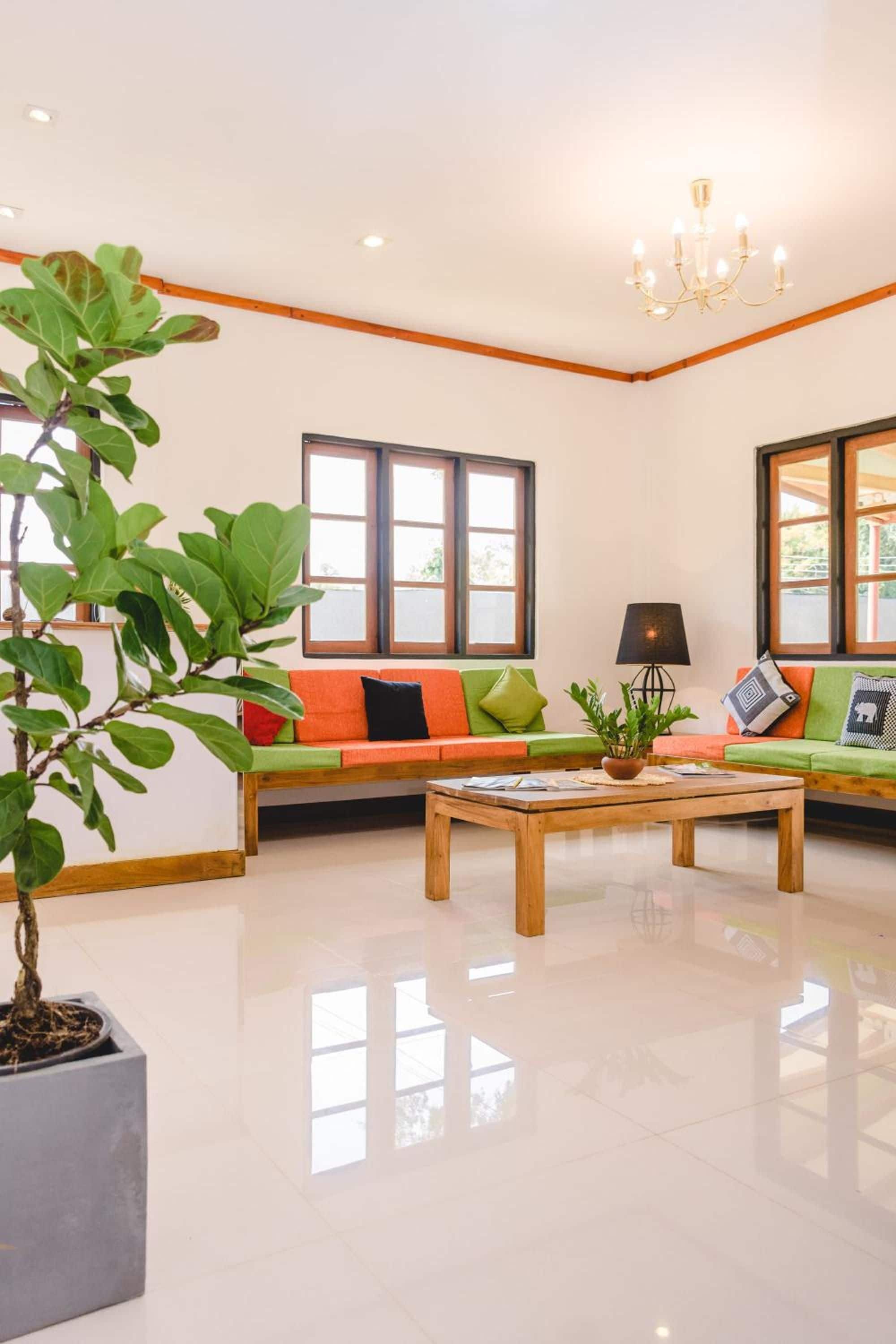 A modern living room with a sofa, a coffee table, and a potted plant.