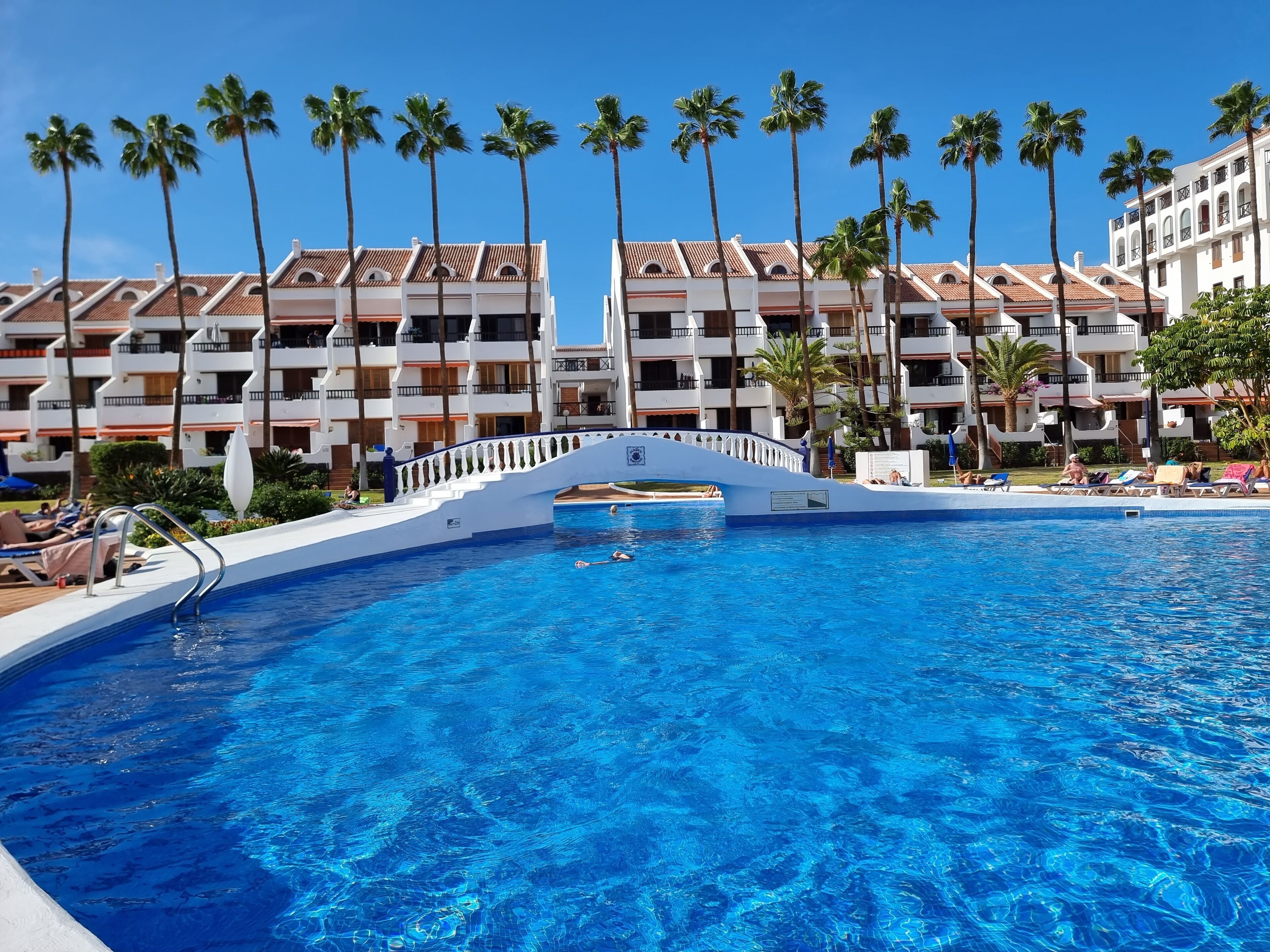 A swimming pool with a white bridge, surrounded by palm trees and a hotel building with multiple balconies.