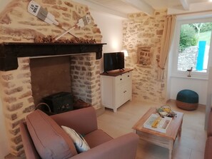 电视、壁炉、DVD 播放器、书