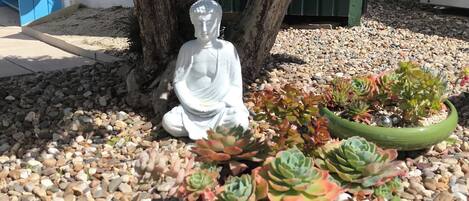 A Buddha statue, potted succulents, and a tree in a garden setting.