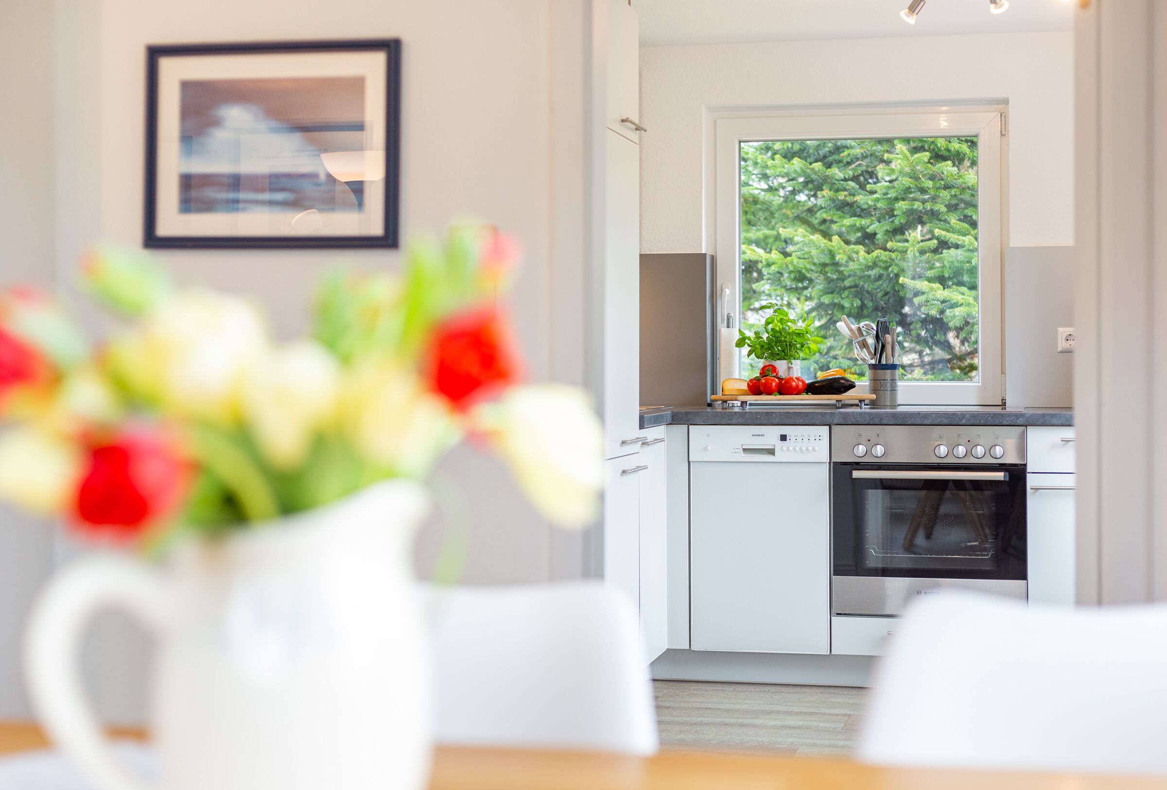 Kylskåp, mikrovågsugn, ugn och spishäll