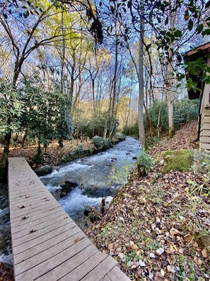 Property grounds - Quaint cabin on Huge Creek! Chefs kitchen, arcade games,swim,relax, on 5 acres♥️ (Hiawassee)
