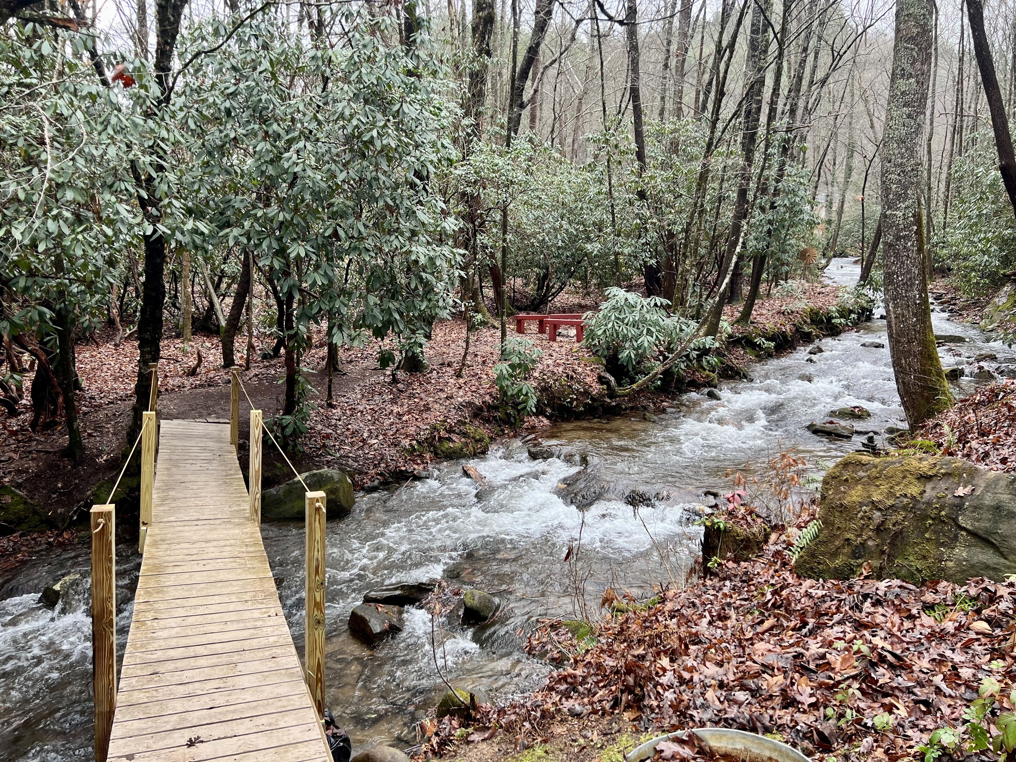 Rustic cabin on Huge Creek!Chef kitchen! Fall leaves & beautiful