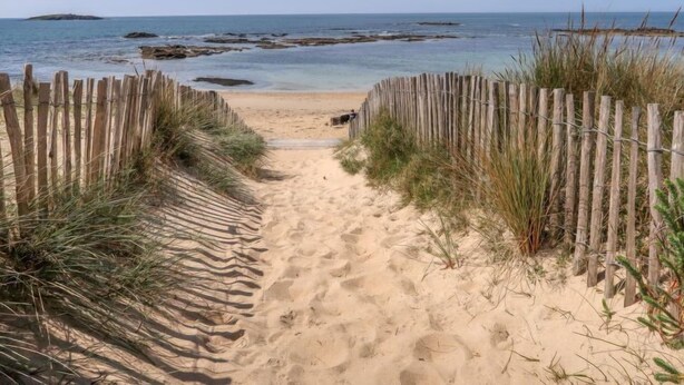 A sandy beach path leading to the ocean, flanked by wooden fences and grass. - L'Olivier by Interhome (Erdeven)
