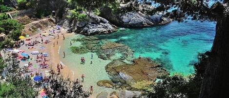 Plage à proximité