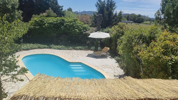 A swimming pool with a stone deck, surrounded by lush greenery and a thatched roof structure.
