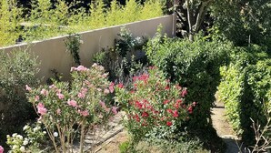 A garden with various plants and flowers, a concrete pathway, and a stone wall.
