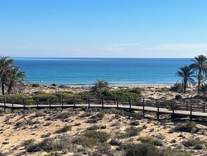 Walk along the boardwalk to the beach, surrounded by palm trees and the ocean.