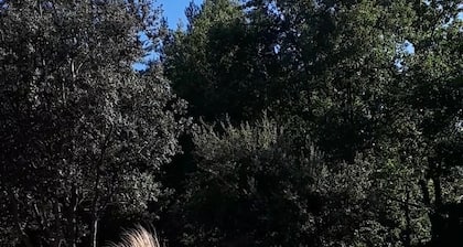 3 * viehättävä mökki Mont Ventoux -näkymällä