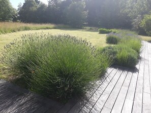 Terrein van de accommodatie