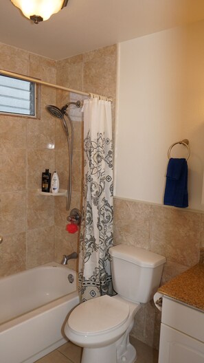 Ensemble douche/baignoire, sèche-cheveux, serviettes fournies, savon