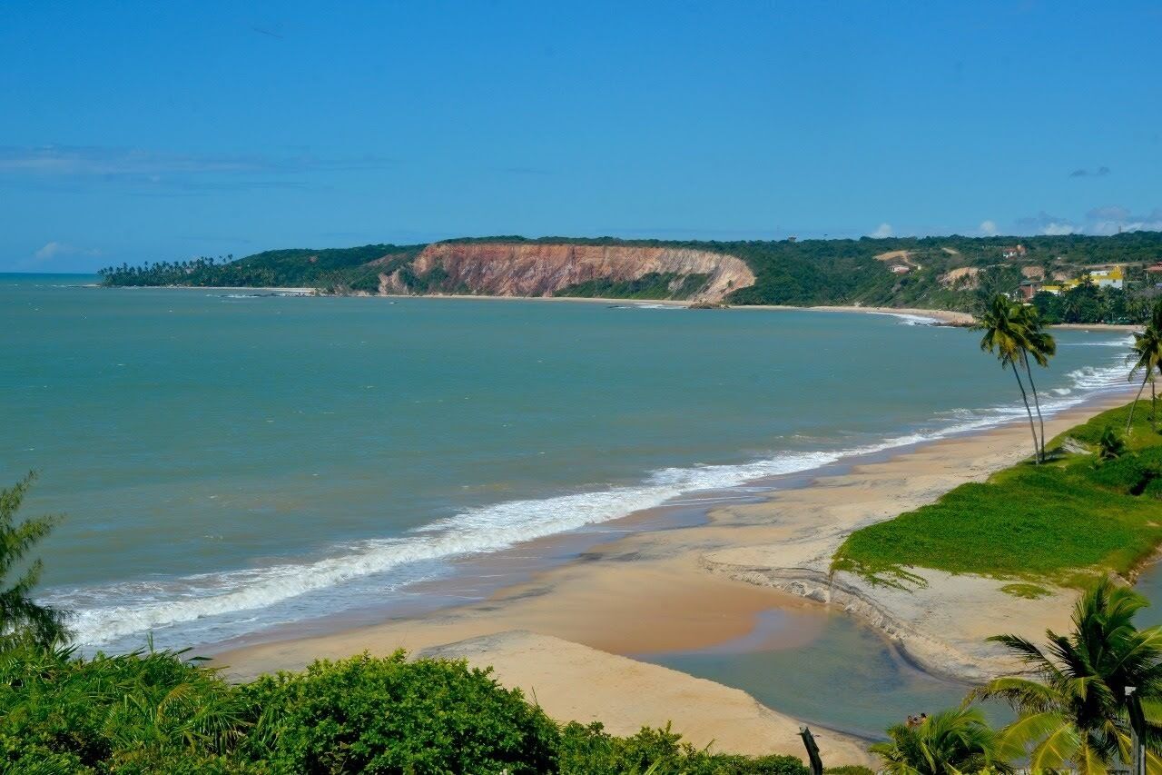A coastal landscape with a beach, palm trees, and a cliff.