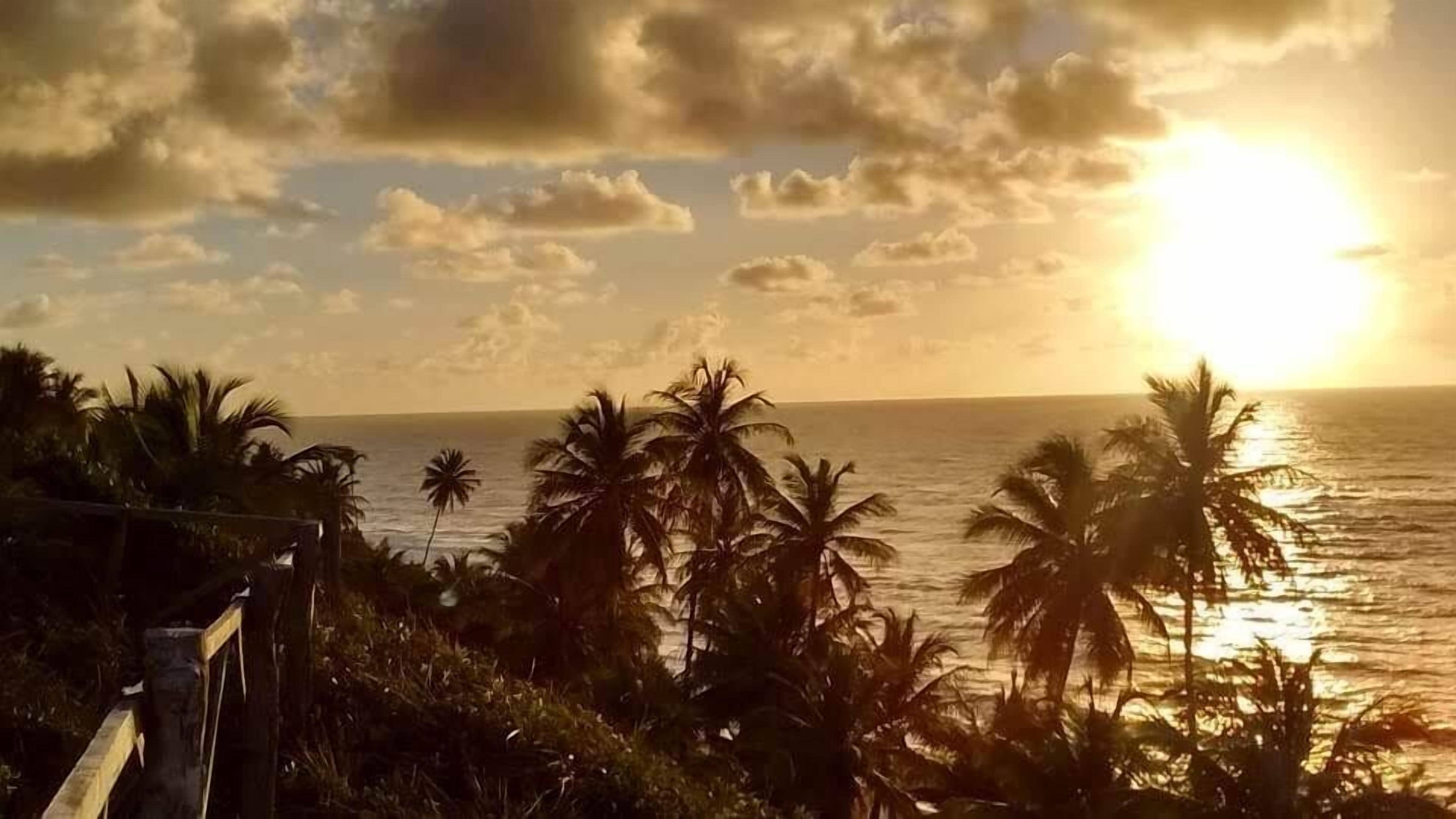 Vista do pôr do sol com palmeiras e cerca de madeira.