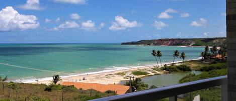 Vista costera con playa, palmeras y cielo despejado.