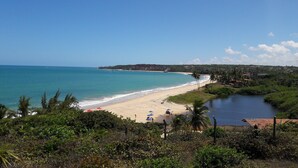 A coastal view with a beach, palm trees, and a calm sea. - Pousada Laguna (Conde)